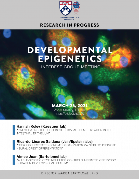 Developmental Epigenetics Interest Group Meeting