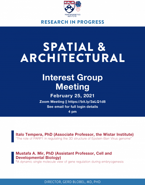 Spatial & Architectural Epigenetics Interest Group Meeting