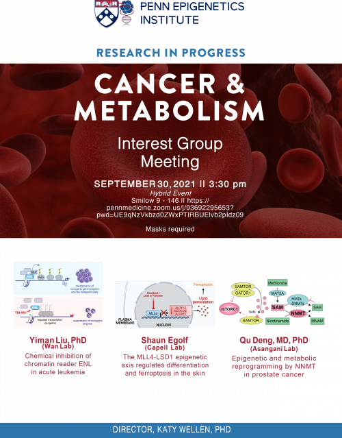 Hybrid Cancer & Metabolism Epigenetics Interest Group Meeting