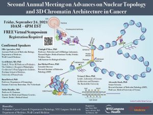 Second Annual Meeting on Advances on Nuclear Topology and 3D Chromatin Architecture in Cancer