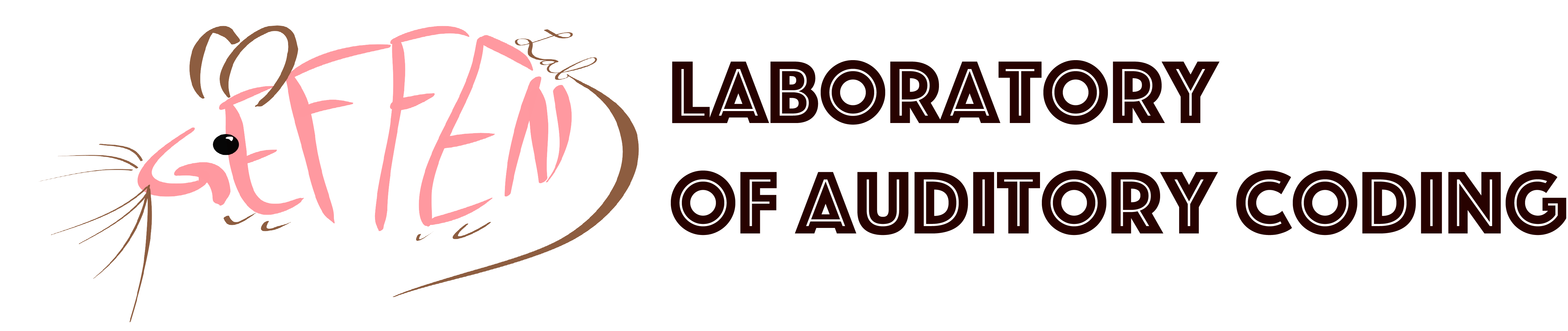 Geffen Laboratory of Auditory Coding